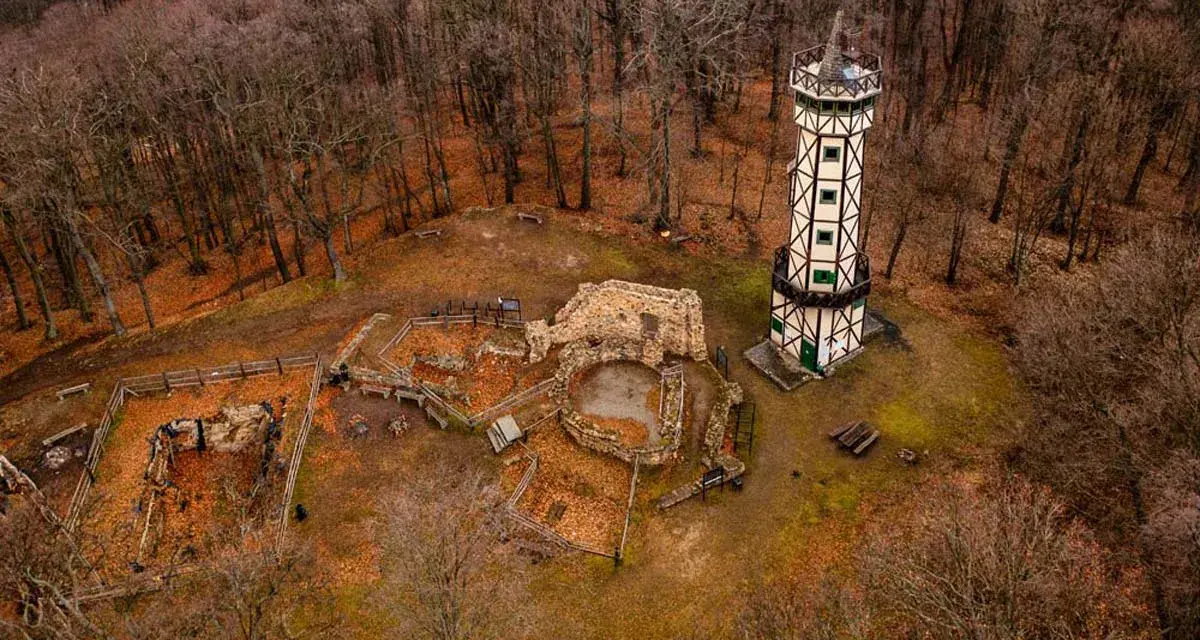 Gromnik wieża widokowa góruje nad ruinami zamku, otoczona jesiennym lasem.