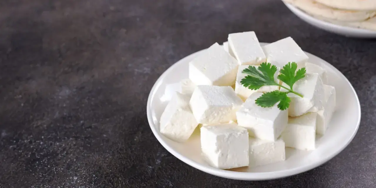 Queso paneer cortado en cubos en un plato blanco con una ramita de cilantro.