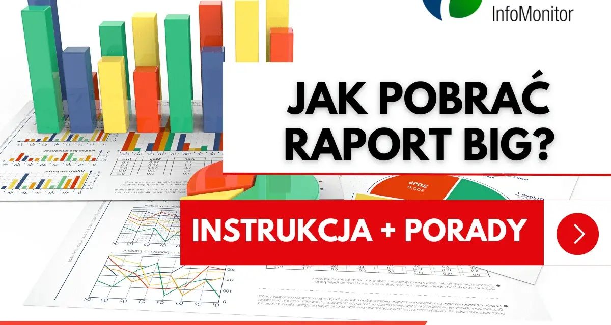 Wykresy i raporty BIG InfoMonitor. Dowiedz się, jak pobrać informację o zadłużeniu i uzyskać instrukcje oraz porady.