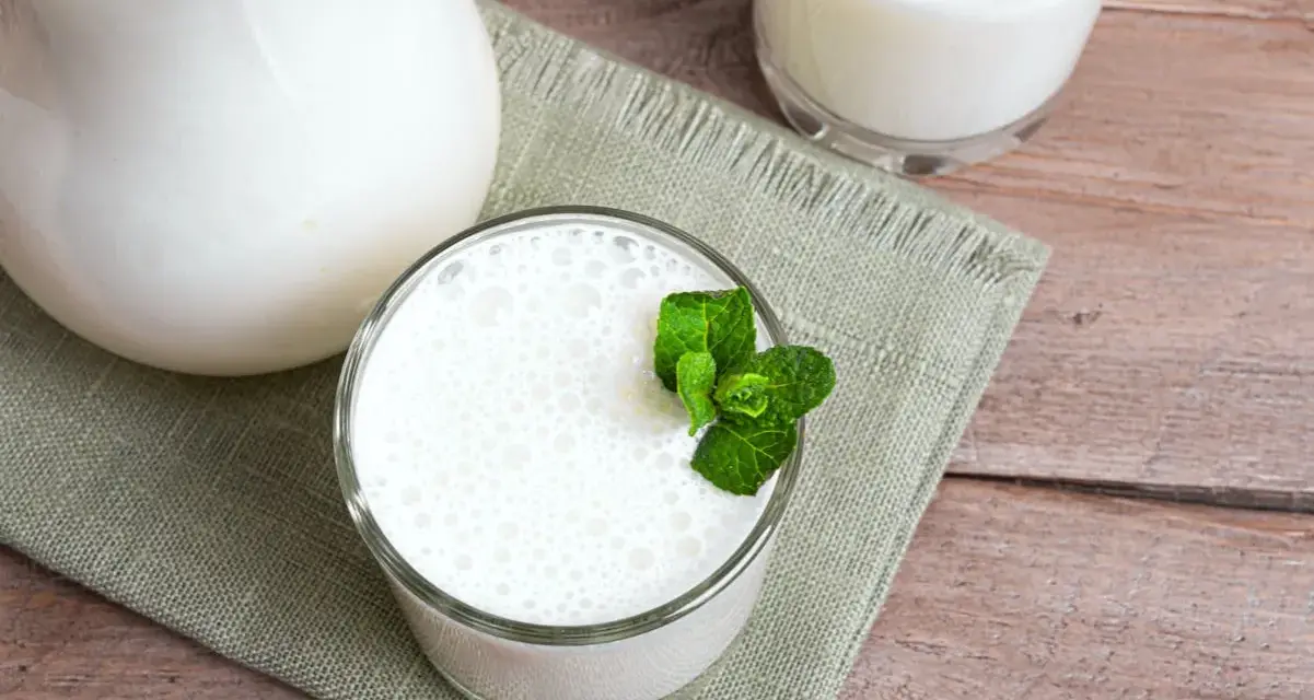 Un pichet et deux verres de lait fermenté, l'un garni de menthe fraîche. Une liste des yaourts fermentés à déguster.