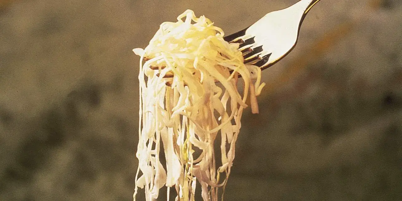 Un tenedor levanta una porción de chucrut, evocando su origen ancestral en la fermentación de la col.