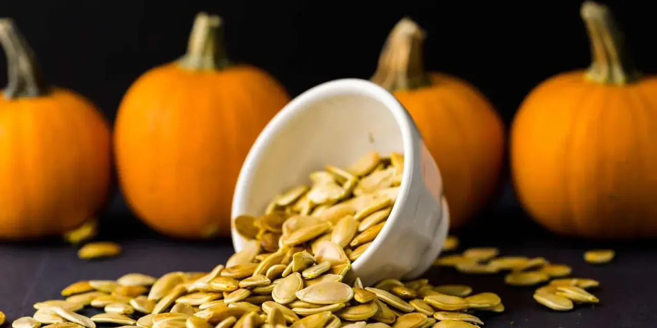 Semi di zucca freschi versati da una ciotola, con zucche arancioni sullo sfondo. Perfetti per essere piantati.