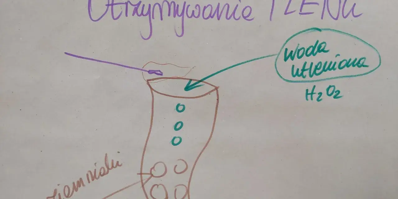 Otrzymywanie tlenu z wody utlenionej (peroxide co to) z użyciem ziemniaka.