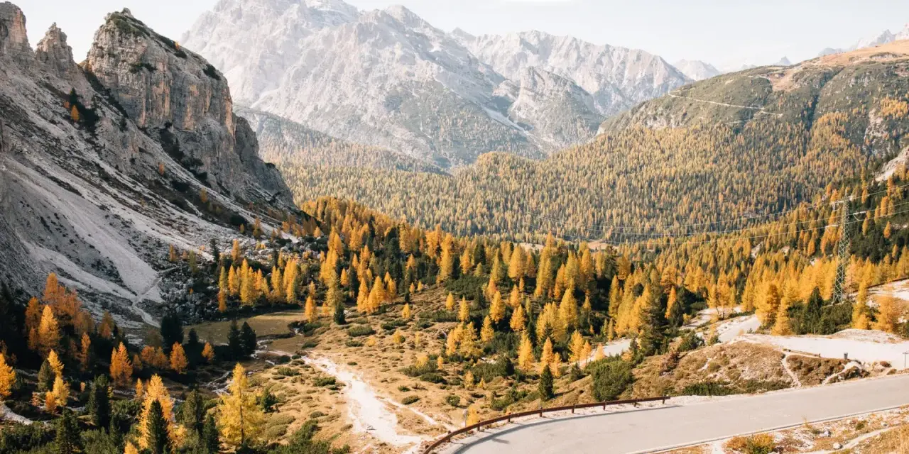 Malownicza droga w Dolomitach, otoczona jesiennymi drzewami, idealne miejsce na camping.