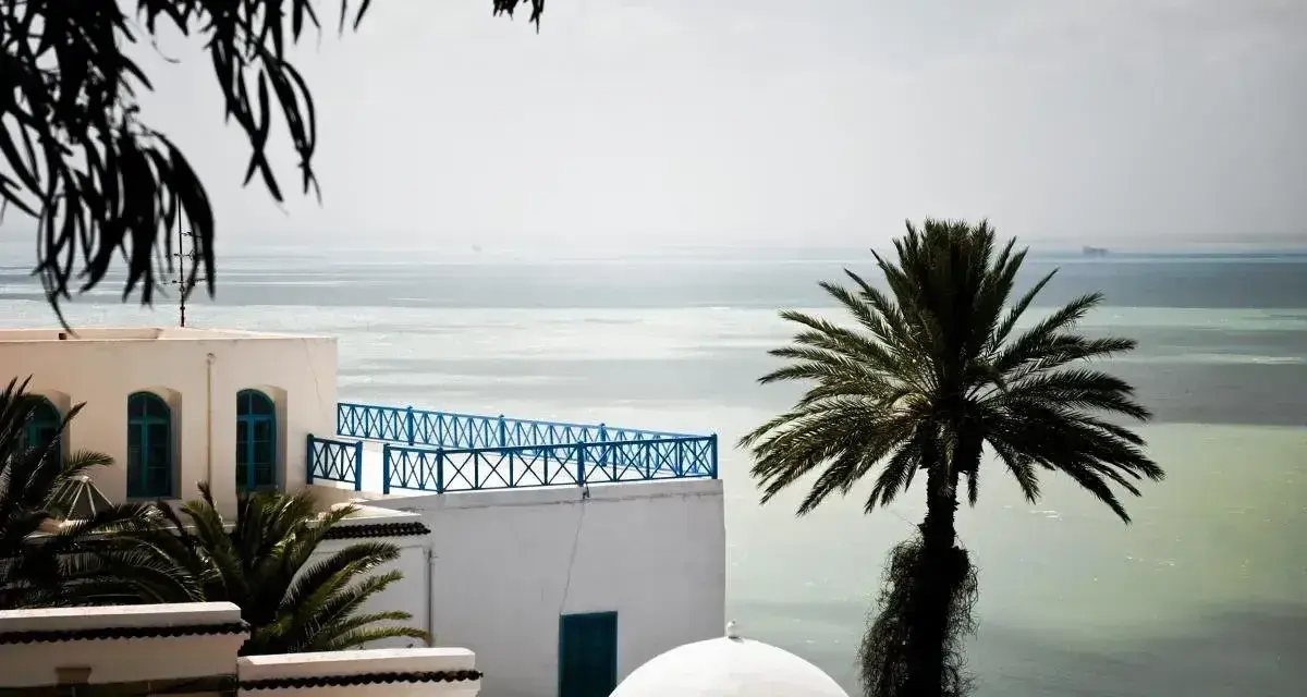 Białe budynki z niebieskimi okiennicami i balustradą, palma i morze. Czy Tunezja jest bezpieczna? Widok sugeruje spokój i piękno.