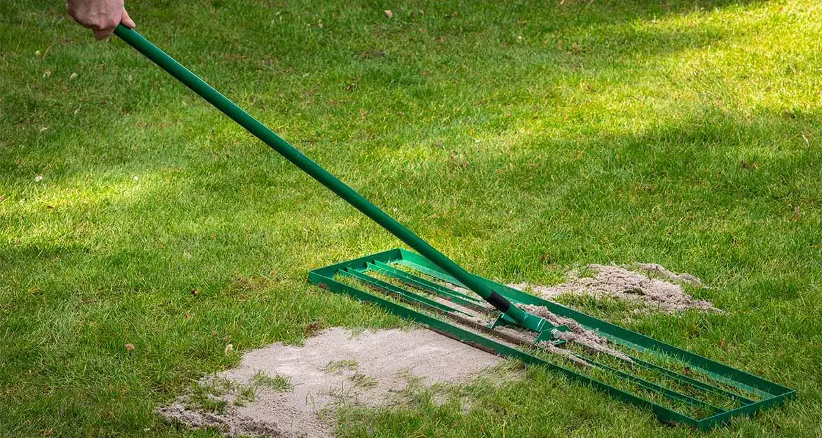Mit einem Rechen wird Rasensand auf dem grünen Rasen verteilt, um ihn zu verbessern.