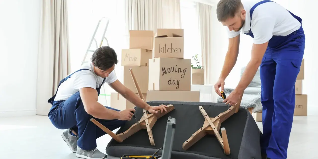 Deux déménageurs démontent un canapé fixe, outils à portée de main. Ils préparent le mobilier pour un déménagement.
