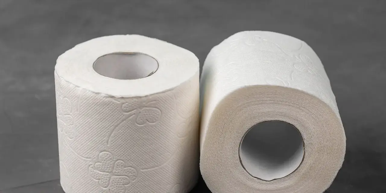 Jaki papier toaletowy do oczyszczalni, aby uniknąć problemów z zatorami?