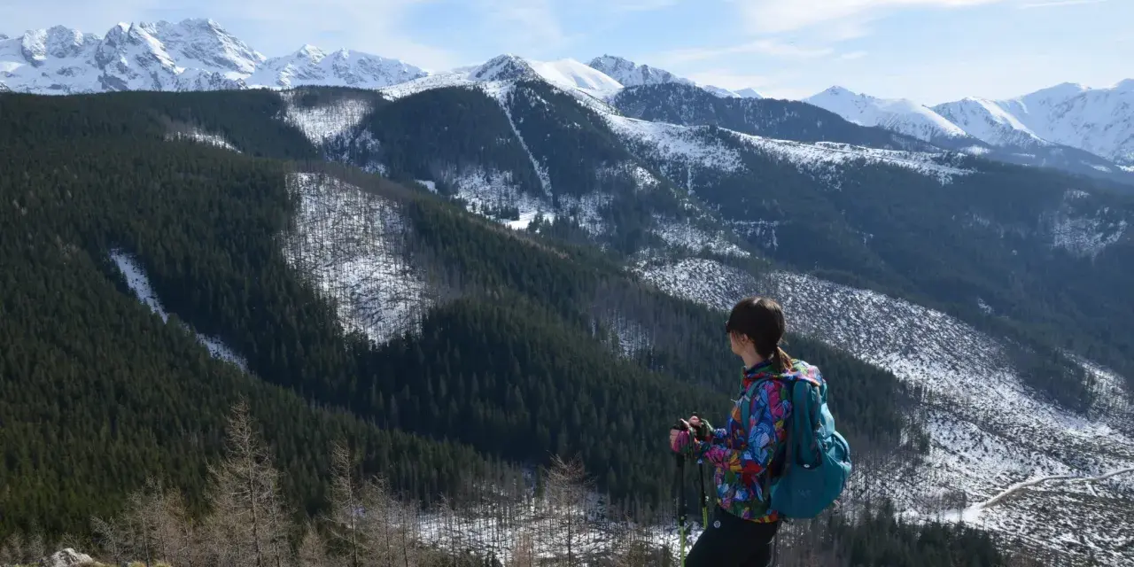 Widok na wielki kopieniec górski pokryty lasem i śniegiem. Kobieta z plecakiem i kijkami trekkingowymi podziwia panoramę.