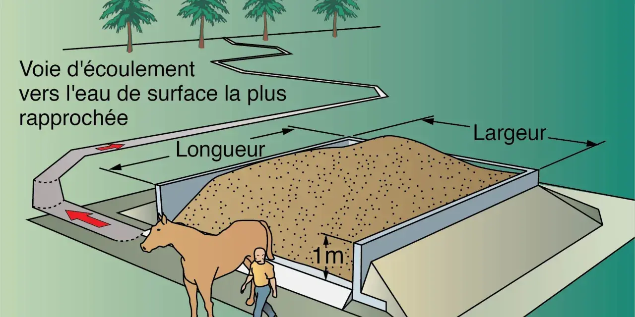 Un cheval et un homme près d'une fosse remplie de fumier de cheval composté. Un canal d'écoulement dirige le surplus vers l'eau.