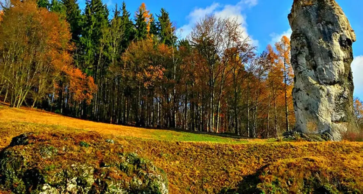 Jesienny krajobraz z wysoką skałą przypominającą maczugę Herkulesa. Las w jesiennych barwach, błękitne niebo z chmurami.