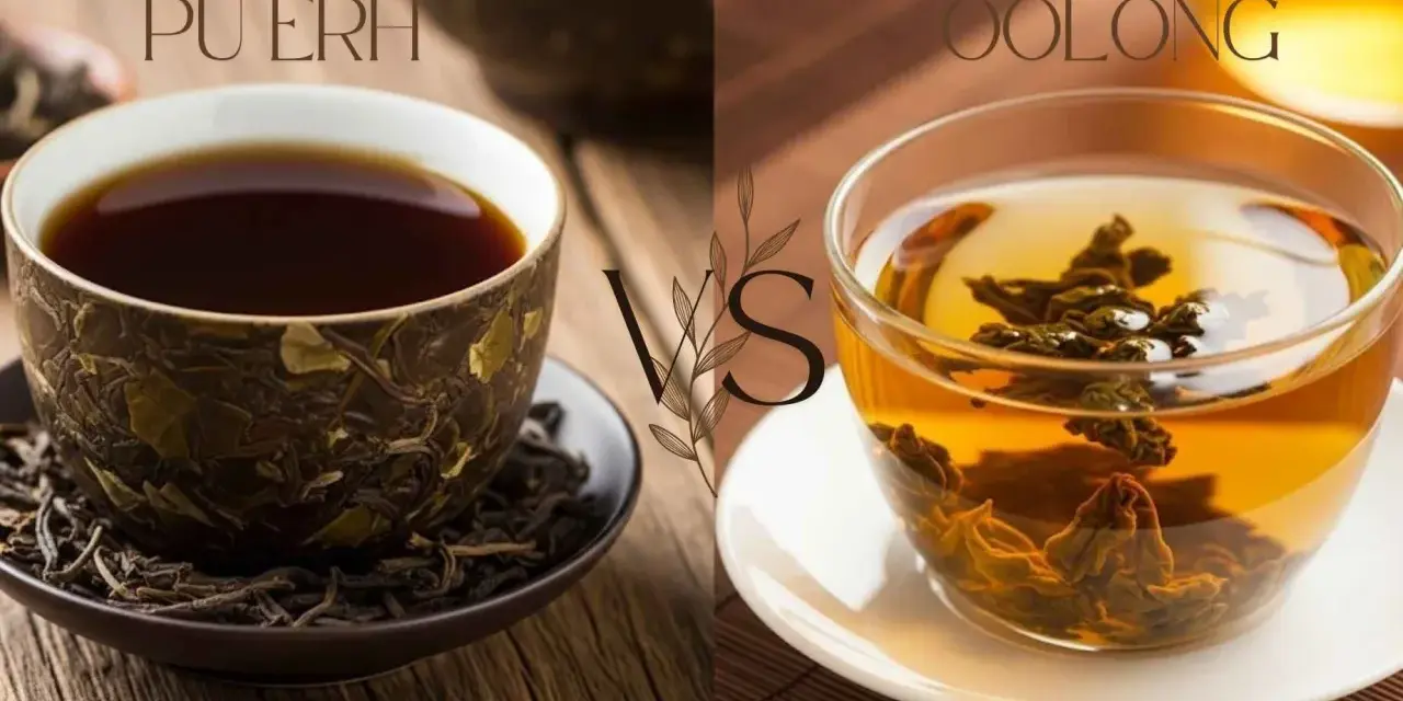 Dwa napary: ciemny Pu-erh i złocisty Oolong, prezentujące różne etapy fermentacji herbaty.