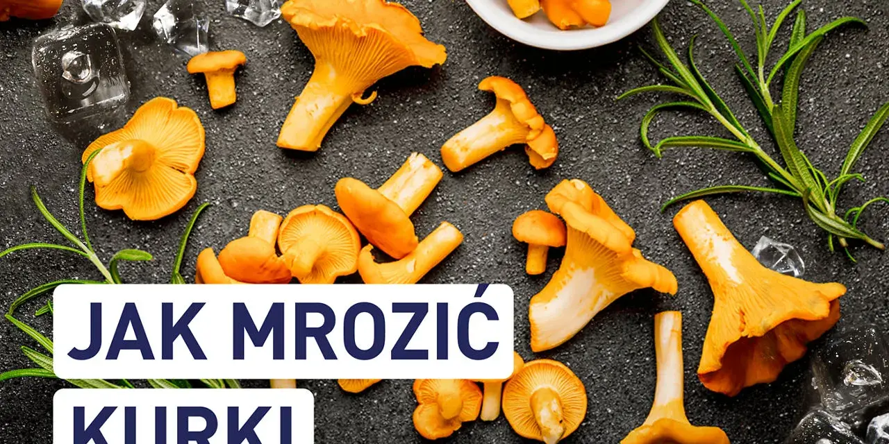 Świeże kurki i lód na ciemnym tle. Dowiedz się, czy kurki można mrozić, aby cieszyć się nimi dłużej.