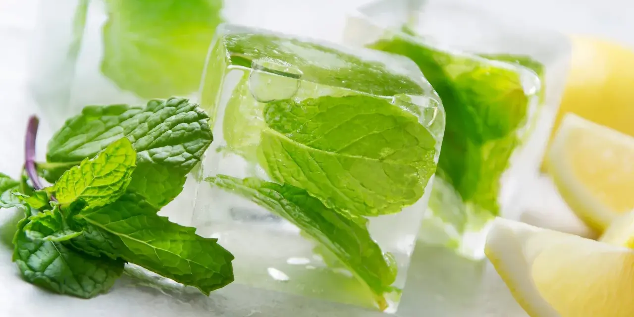 Frische Minzblätter eingefroren in Eiswürfeln, daneben Zitronenspalten. Perfekt für erfrischende Sommergetränke.