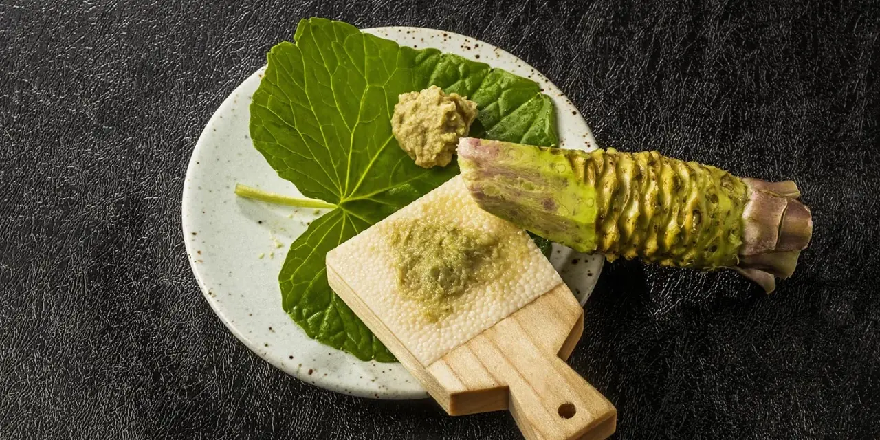 Świeży korzeń wasabi i pasta na tarce. Czy wasabi jest zdrowe? Tak, zawiera cenne składniki.