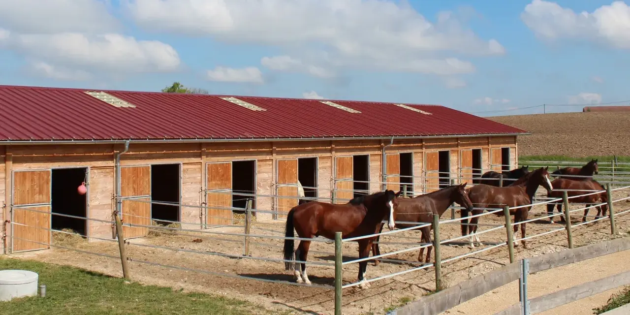 Chevaux dans leur écurie de propriétaire, sous un ciel bleu et nuageux. Les box en bois sont ouverts, révélant la paille.
