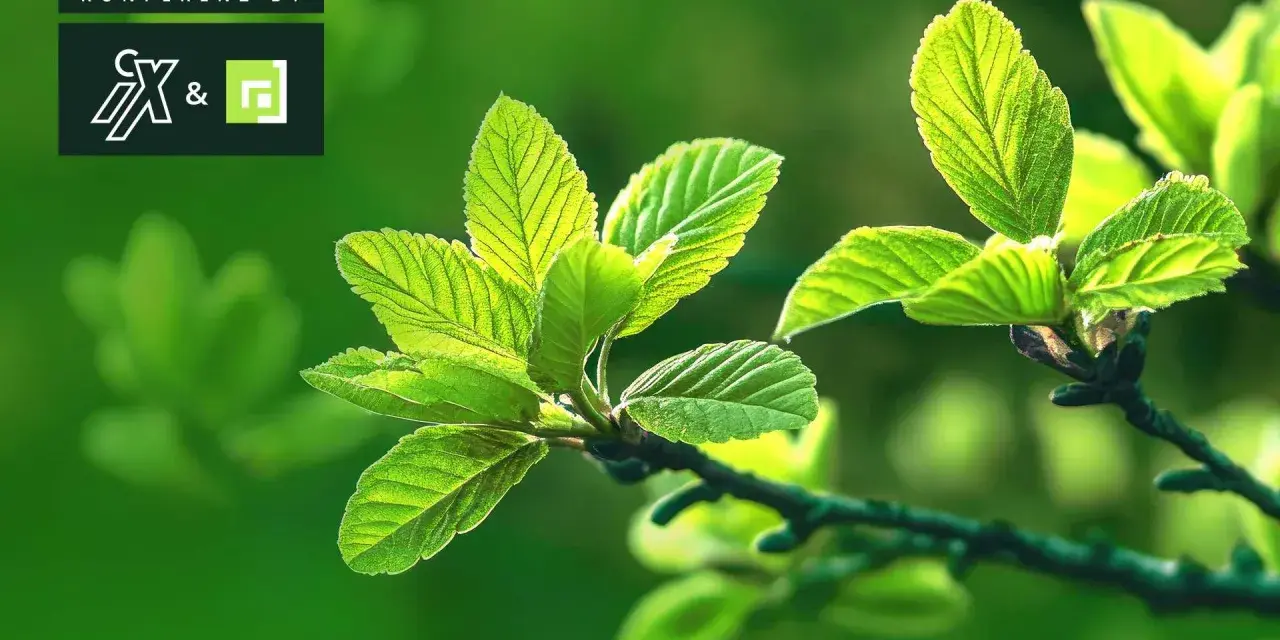 Frische grüne Blätter im Sonnenlicht, symbolisch für das Erwachen im Frühling. Konferenz by CX&.