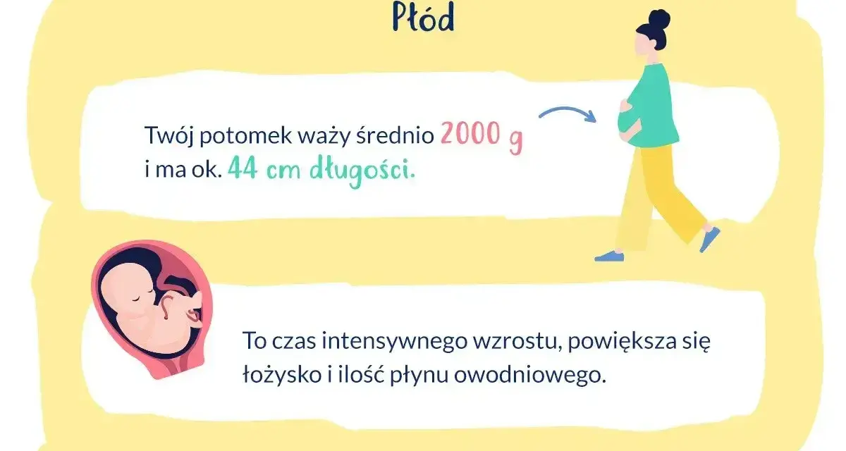 33 tydzień ciąży który to miesiąc? Płód waży ok. 2000g i ma 44cm. To czas intensywnego wzrostu.