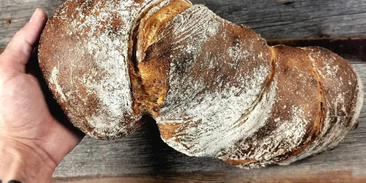 Ein rustikales wurzelbrot mit sauerteig, bestäubt mit Mehl, liegt auf einem Holzbrett.