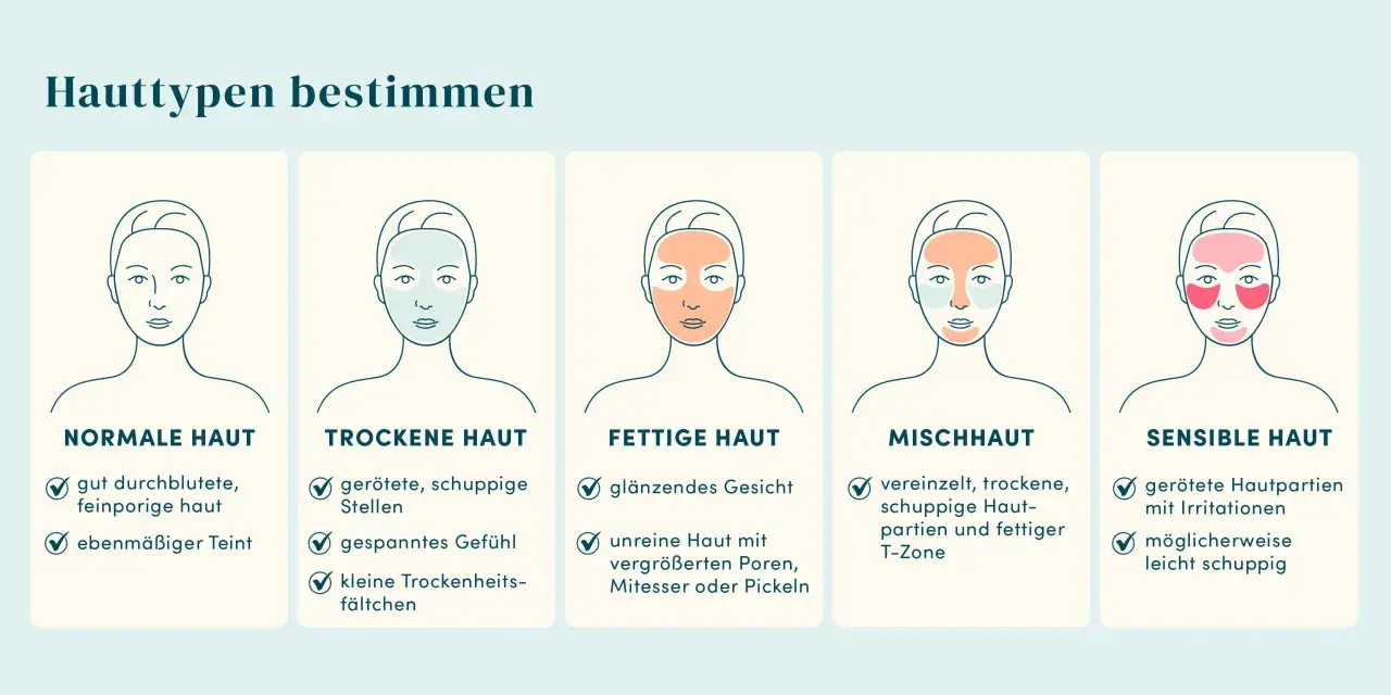 Illustrationen helfen, den Hauttyp zu bestimmen: normale, trockene, fettige, Mischhaut und sensible Haut.