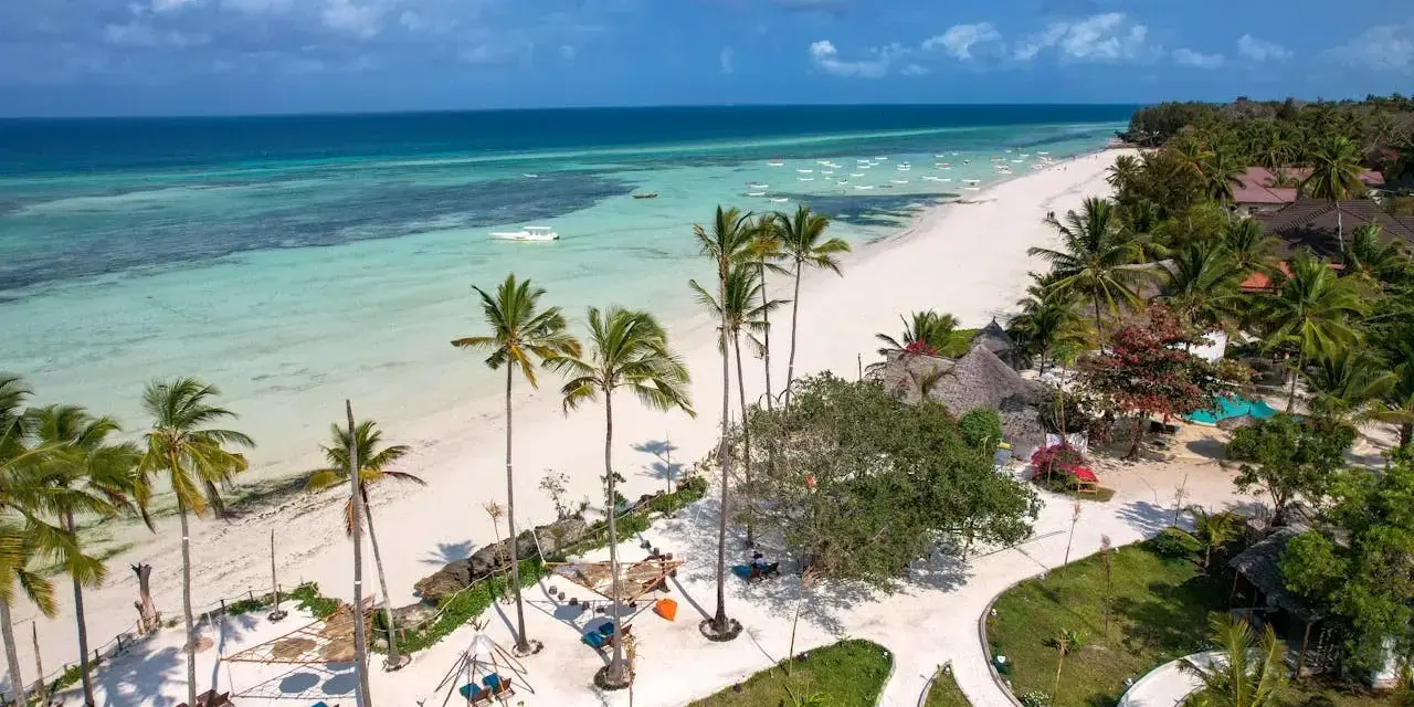 Zanzibar w czerwcu: biała plaża, turkusowa woda, palmy i słońce. Idealna pogoda na wakacje.