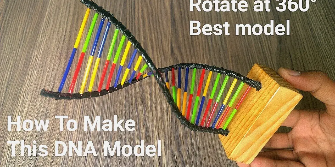Jak zrobić DNA na biologię - proste kroki do stworzenia modelu