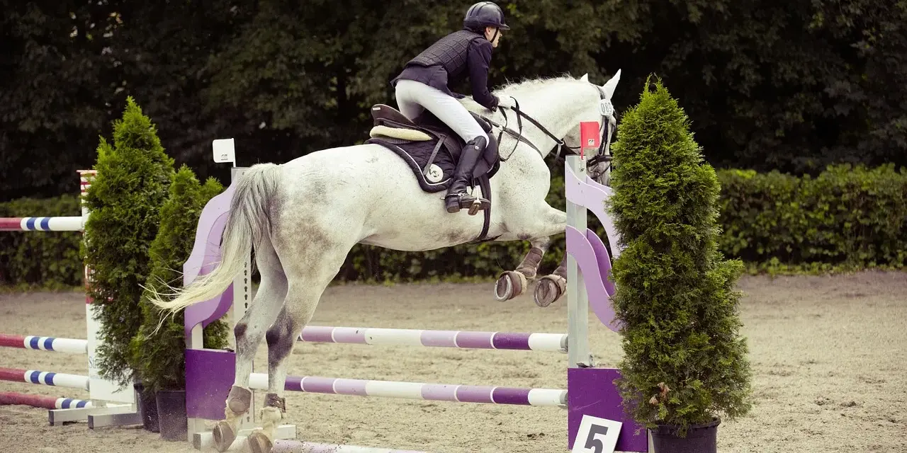 Un cavalier et un jeune cheval blanc sautent un obstacle lors d'une compétition équestre.