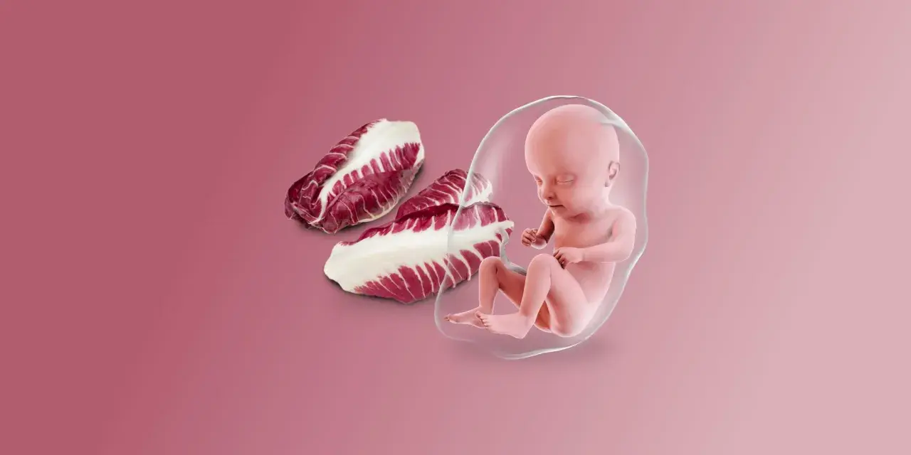 Feto a 25 settimane di gravidanza, accanto a foglie di radicchio.