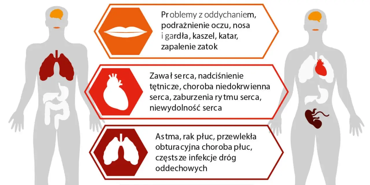 Przyczyna zanieczyszczenia środowiska: co naprawdę nas zagraża?