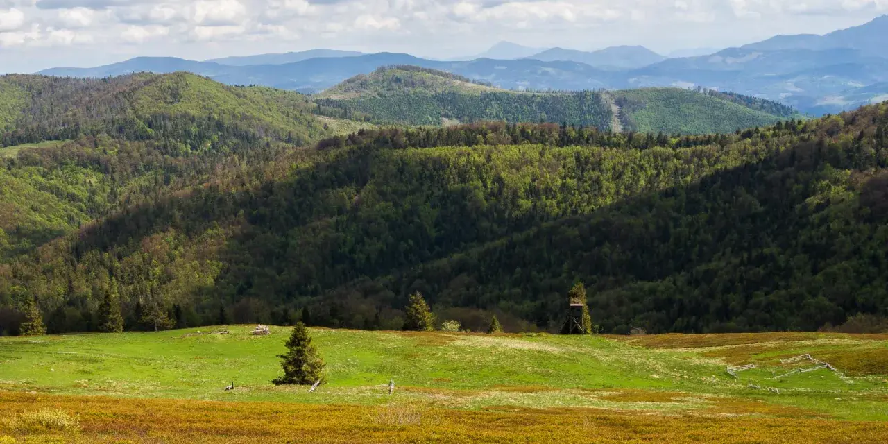 Zielone wzgórza Beskidów, pokryte lasami i łąkami, zapraszają na najpiękniejsze szlaki. Widok na pasma górskie w oddali.