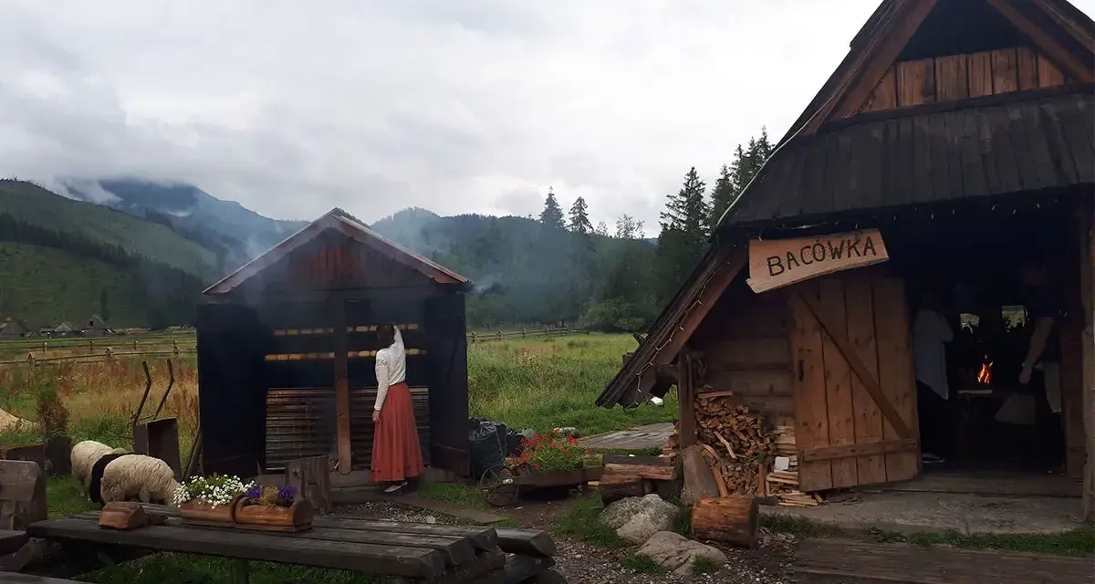 Tradycyjna bacówka w Karpaczu, gdzie wędzą się pyszne oscypki. W tle góry i owce.