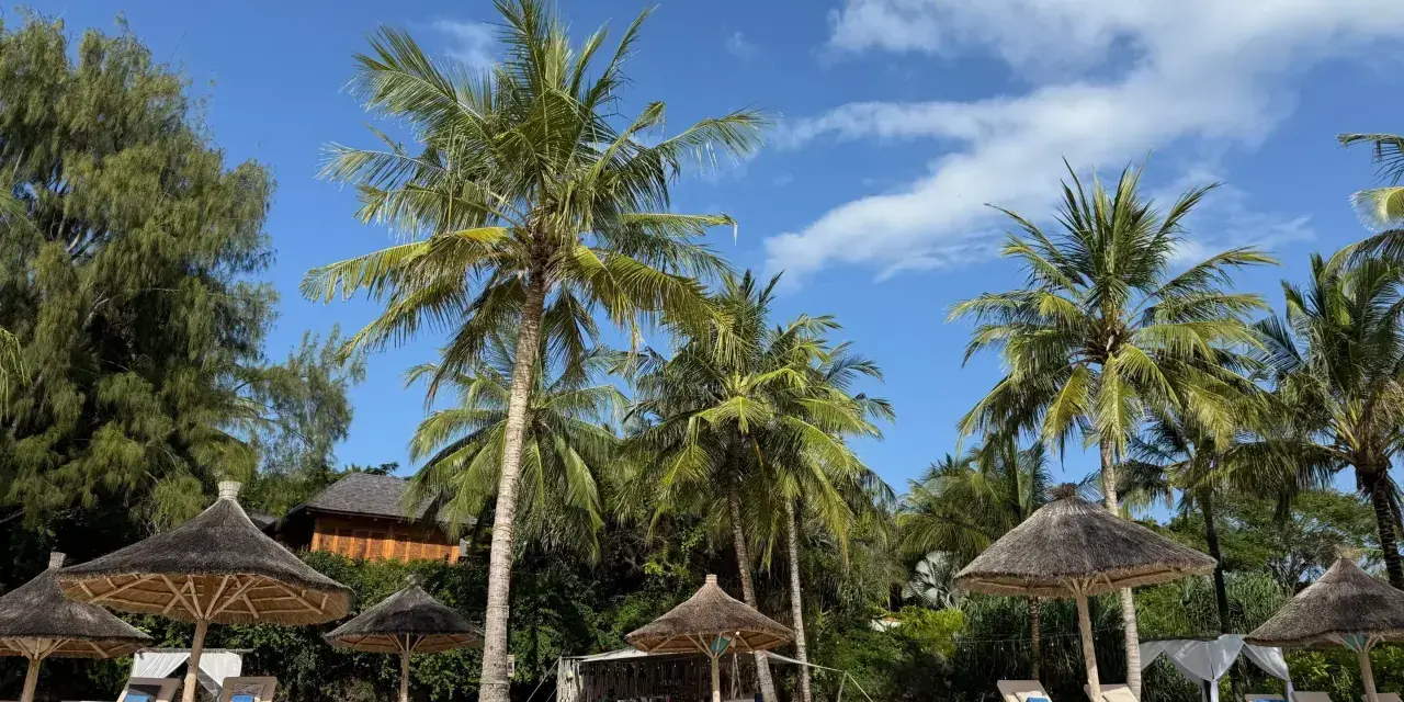 Rajska plaża z palmami i leżakami. Czy na Zanzibar trzeba paszport? Tak, jest potrzebny.