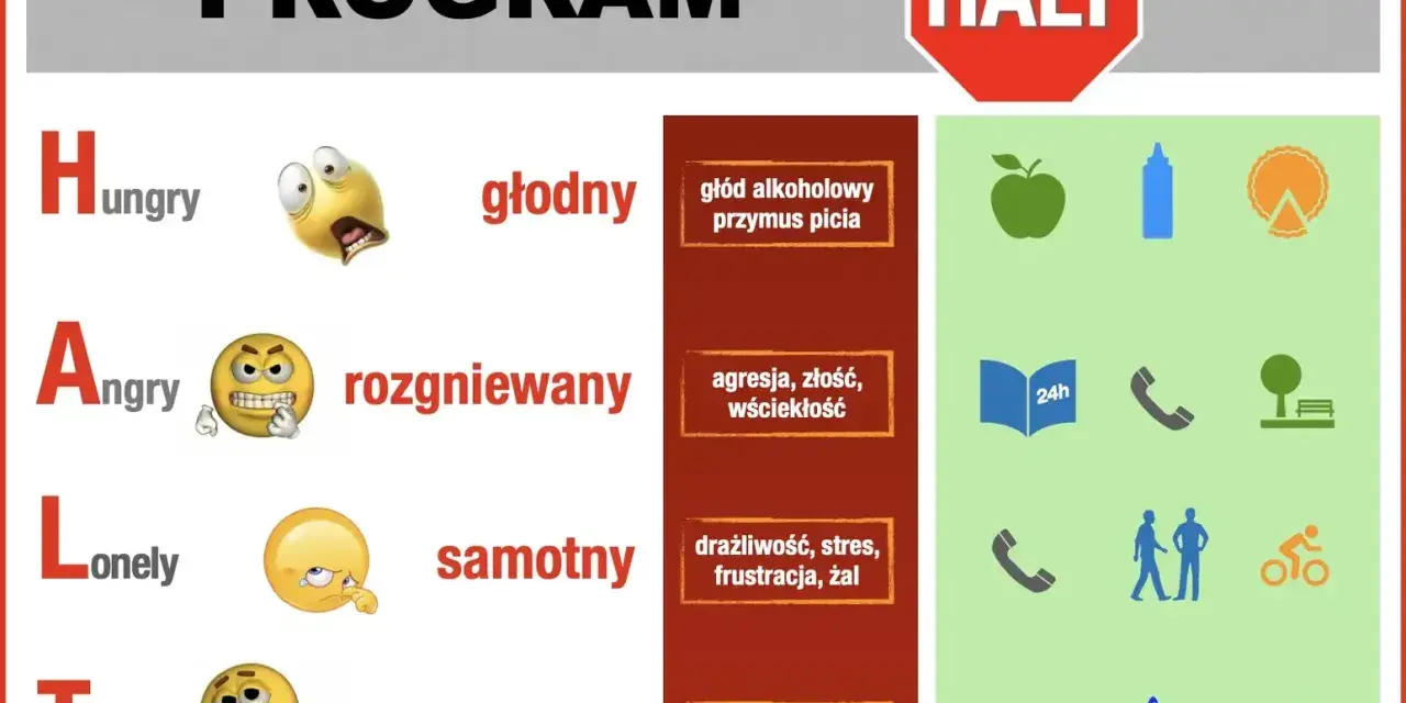 Program HALT: głodny, rozgniewany, samotny, zmęczony. Plan na wyjście z terapii obejmuje zdrowe jedzenie, rozmowę, odpoczynek i aktywność.