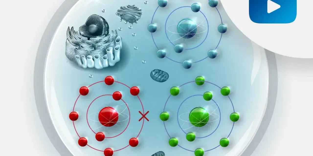 Komórka z organellami i atomami. Czerwone atomy symbolizują stres oksydacyjny, zielone i niebieskie zdrowe.