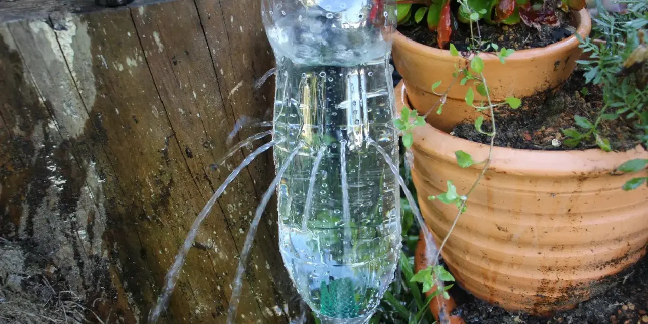 Ingegnosa irrigazione a goccia senza corrente con bottiglie di plastica, che forniscono acqua alle piante in vaso.