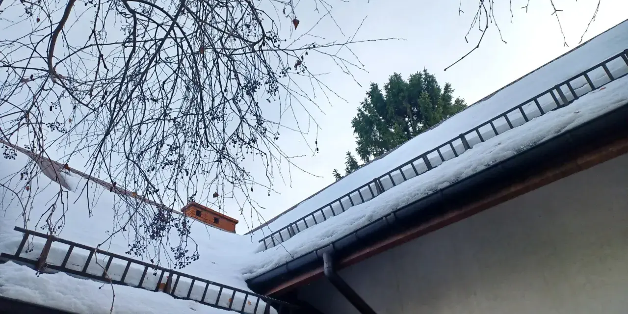 Dach stromy pokryty śniegiem, z drabinkami zabezpieczającymi przed lawinami. Gałęzie drzew wiszą nad nim.
