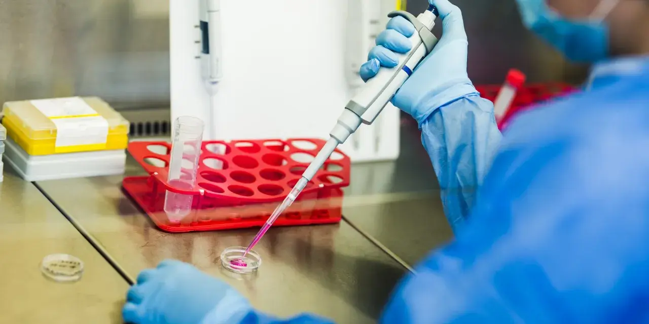 Naukowczyni w niebieskim fartuchu pobiera pipetą próbkę, która może być cenną **krwią pępowinową**, do dalszych badań laboratoryjnych.