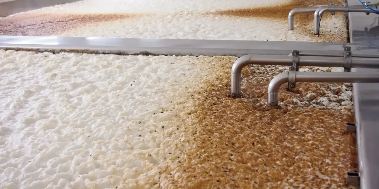 Piana i osad w kadziach fermentacyjnych, gdzie trwa warzenie piwa w domu. Metalowe rury doprowadzają składniki.