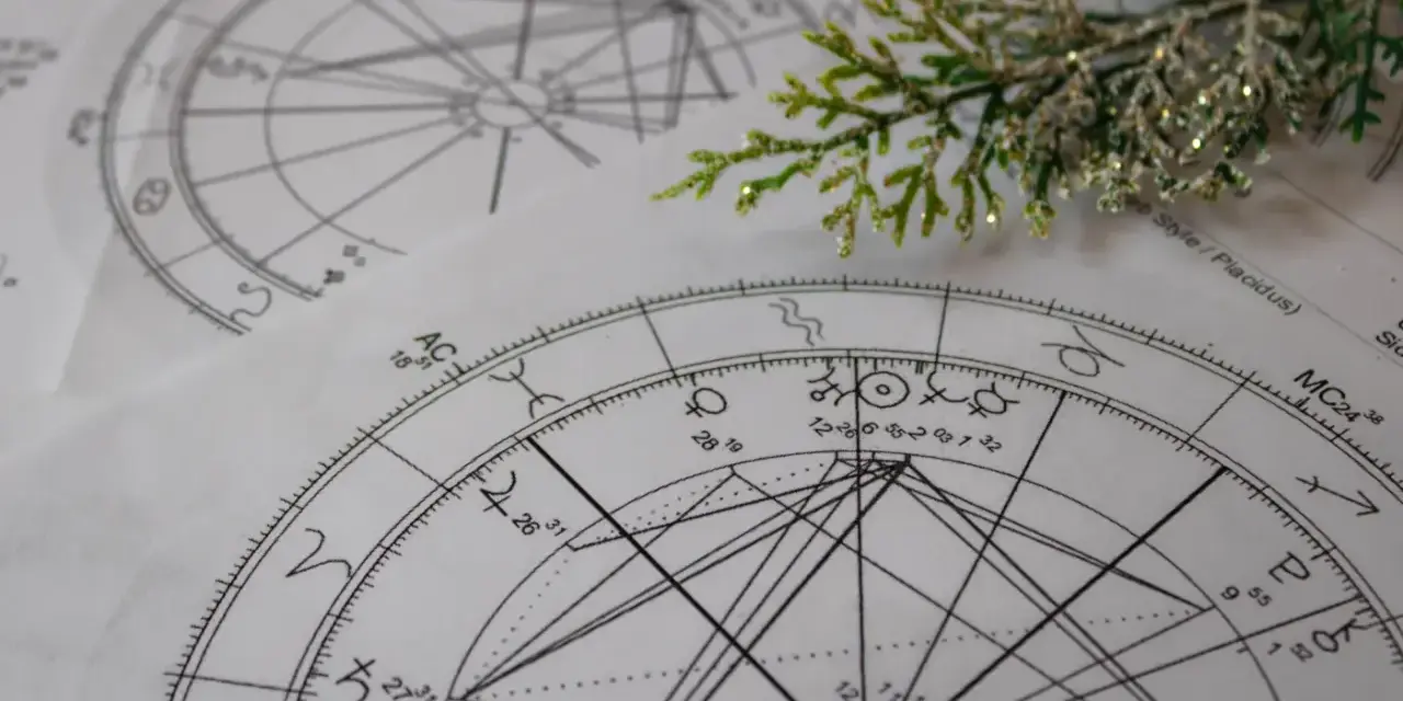 Dwa kosmogramy astrologii wedyjskiej leżą obok siebie, ozdobione gałązką iglastą.
