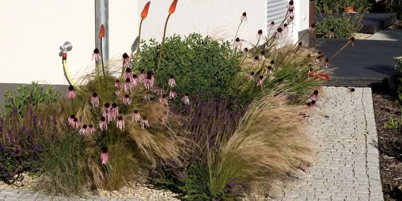 Blumenbeet an Hauswand: Feuchtigkeit durch Wasserhahn und Bewässerungssystem. Ziergräser, Sonnenhut und Fackellilien blühen üppig.