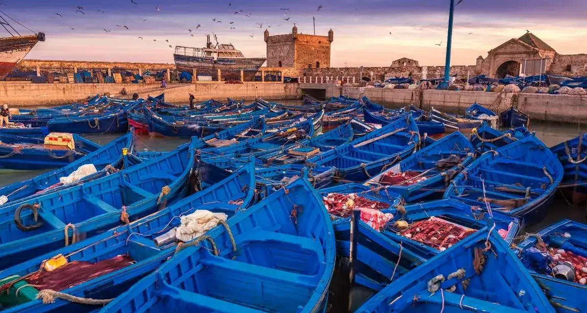 Port w Maroku, pełen błękitnych łodzi rybackich, z twierdzą w tle. Idealna pogoda na wrzesień, by podziwiać zachód słońca nad Atlantykiem.