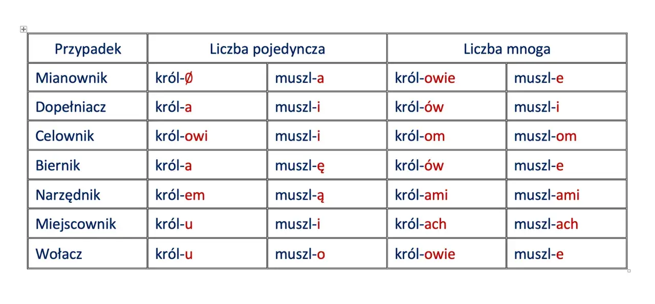 Tabela pokazuje odmiana przez przypadki słów "król" i "muszla" w liczbie pojedynczej i mnogiej.