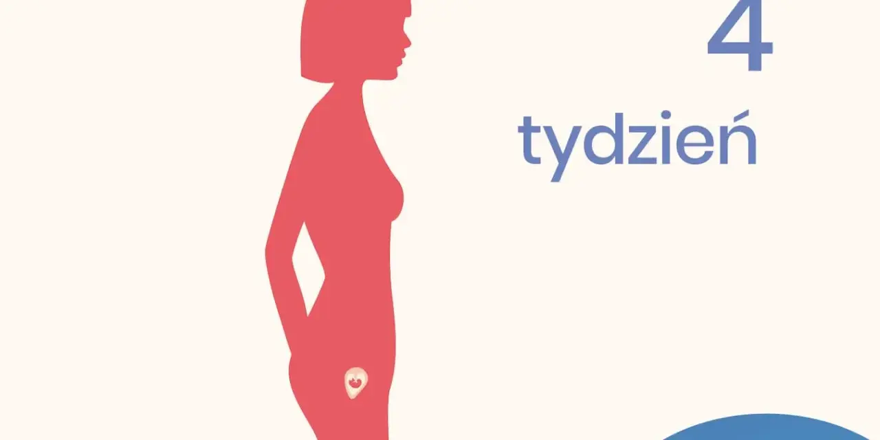 Sylwetka kobiety z zaznaczonym zarodkiem w macicy. Obok widnieje napis "4 tydzień ciąży".