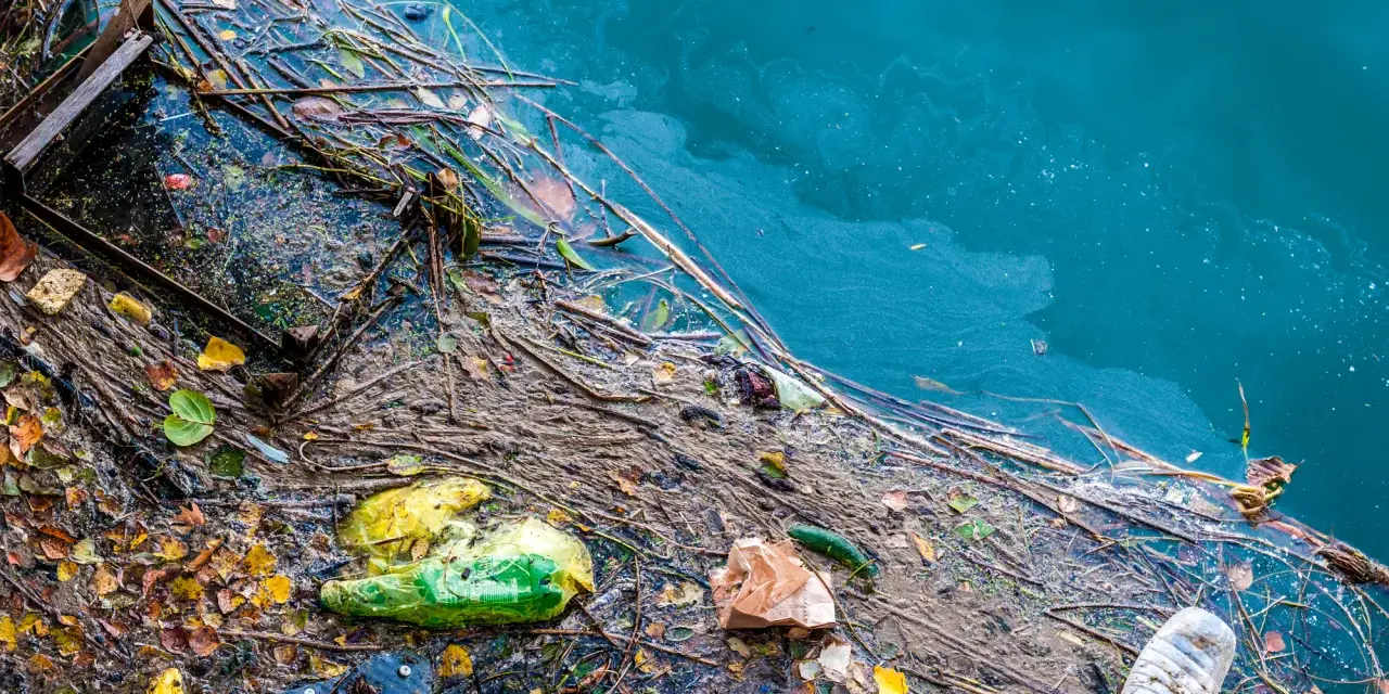 Plastikowe butelki, torby i śmieci unoszą się na wodzie, ilustrując przyczyny zanieczyszczenia Bałtyku.