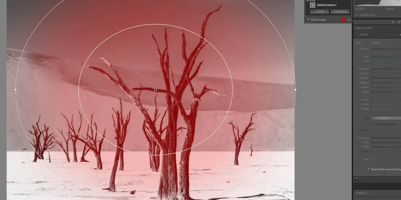Arbres morts dans un désert, avec un filtre radial lightroom appliqué pour un effet dramatique.