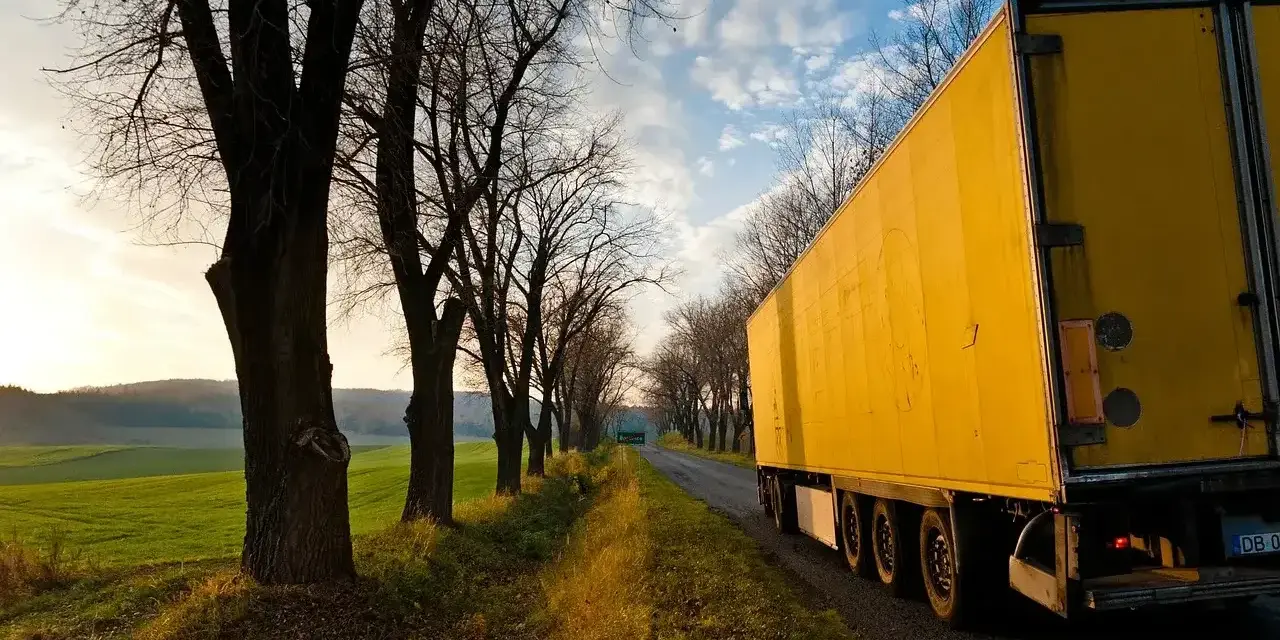 Żółta naczepa tira jedzie aleją drzew. Widać jej wysokość i szerokość.