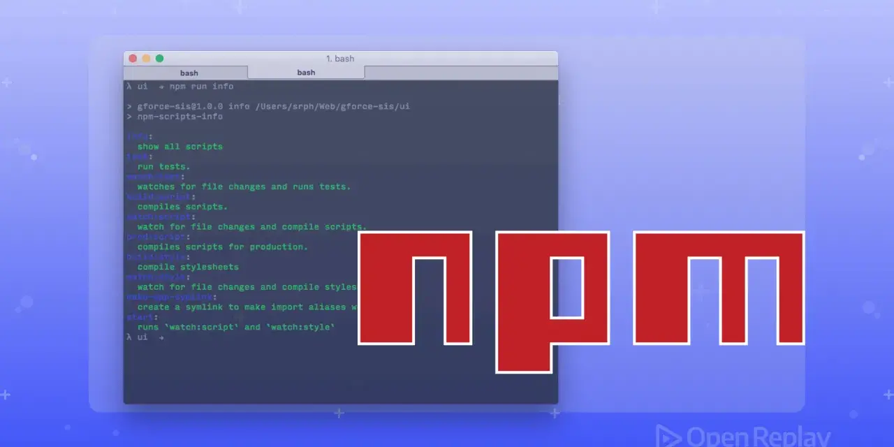 npm-Skripte im Terminal, die mit `npm ci` oder `npm run` ausgeführt werden. Das npm-Logo ist prominent platziert.