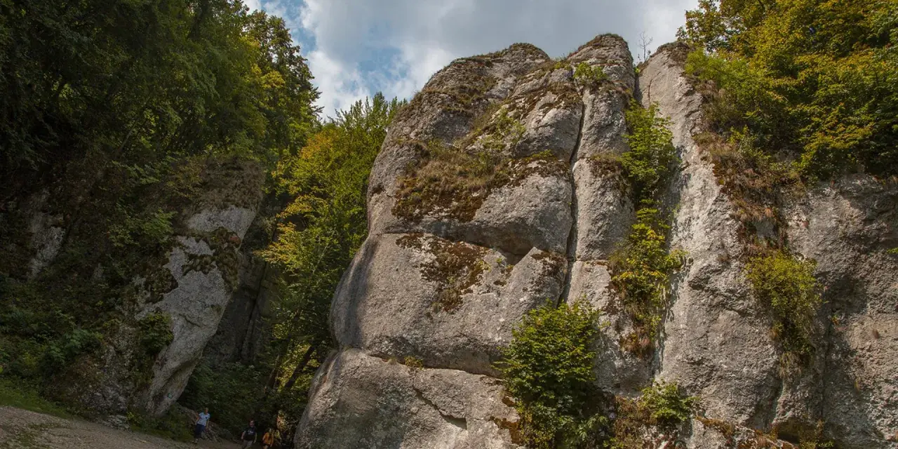 Imponujące ostańce skalne porośnięte mchem i zielenią, otoczone drzewami. W dole ścieżka, po której spaceruje kilka osób.