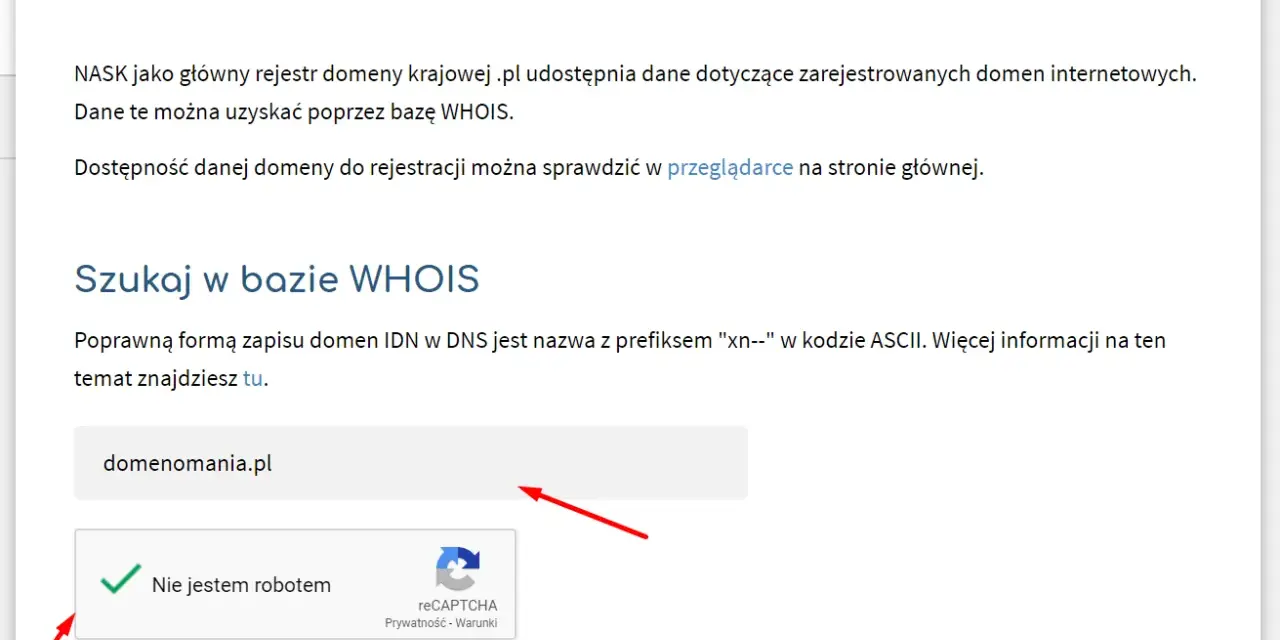 Jak sprawdzić właściciela domeny mimo RODO? Pełny poradnik