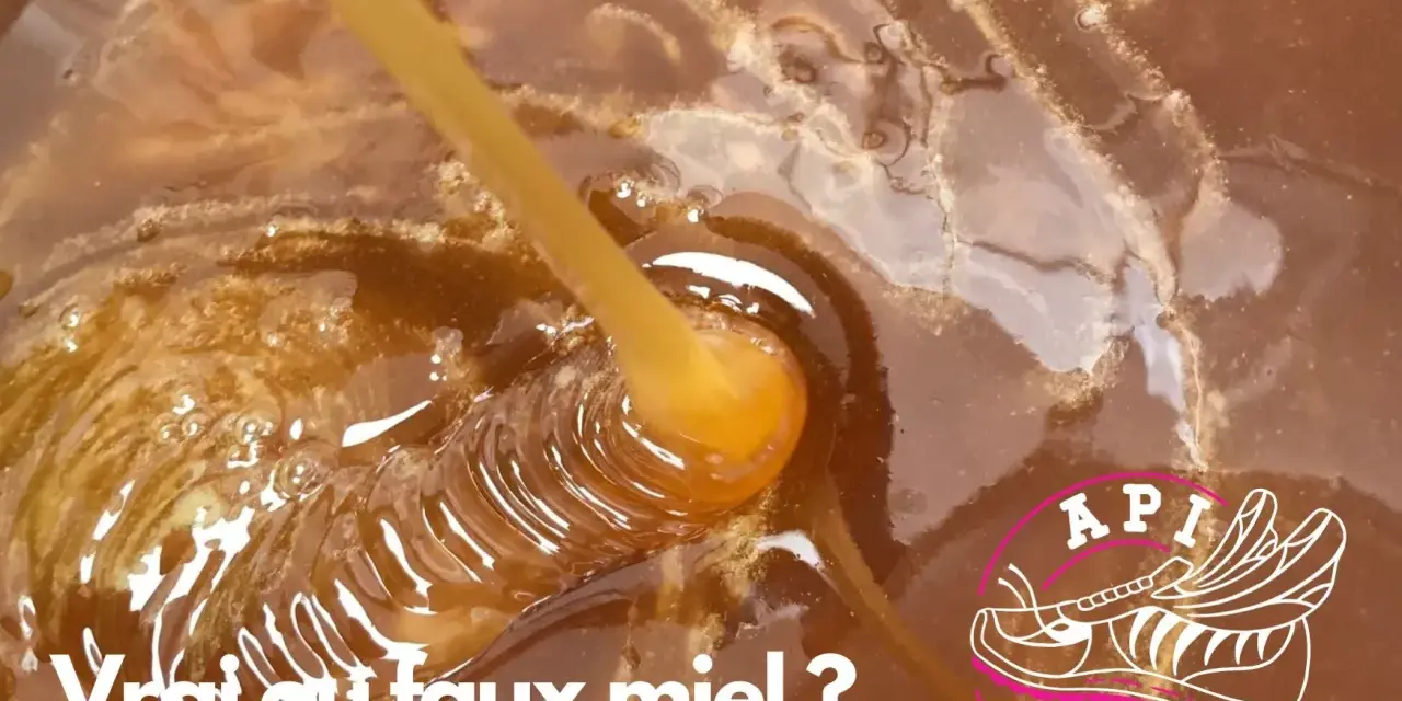 Goutte de miel cru bio, onctueux et doré, tombant dans un pot. Le texte "Vrai ou faux miel ?" interroge sur son authenticité.